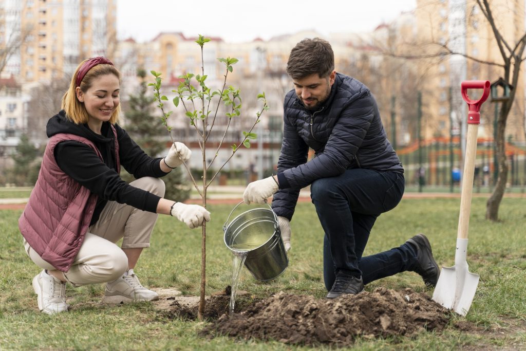 tree plantation paragraph