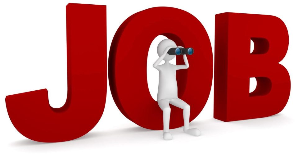 Job Application Letter