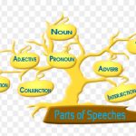 parts of speech bangla